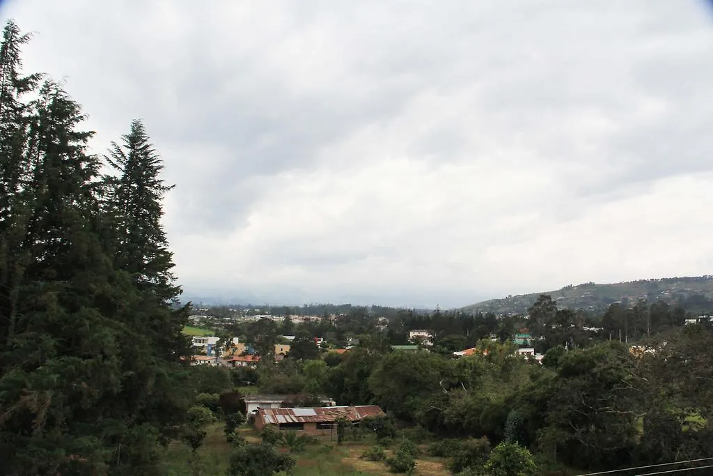 Raiz Ec Cultura Viva Otel Quito Konukevi